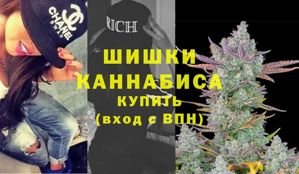 PSILOCYBIN Беломорск