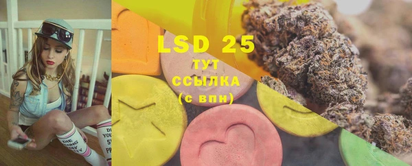 PSILOCYBIN Беломорск